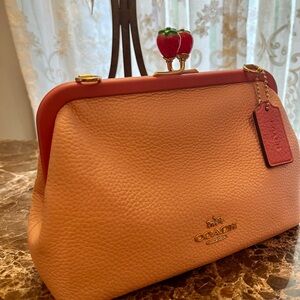 Coach Strawberry Clutch